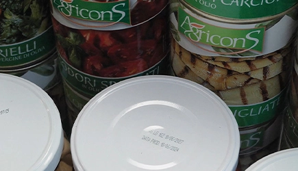 AgriconServe Case study